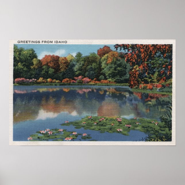 Poster Scène du lac Idaho avec Lily PadsIdaho (Devant)