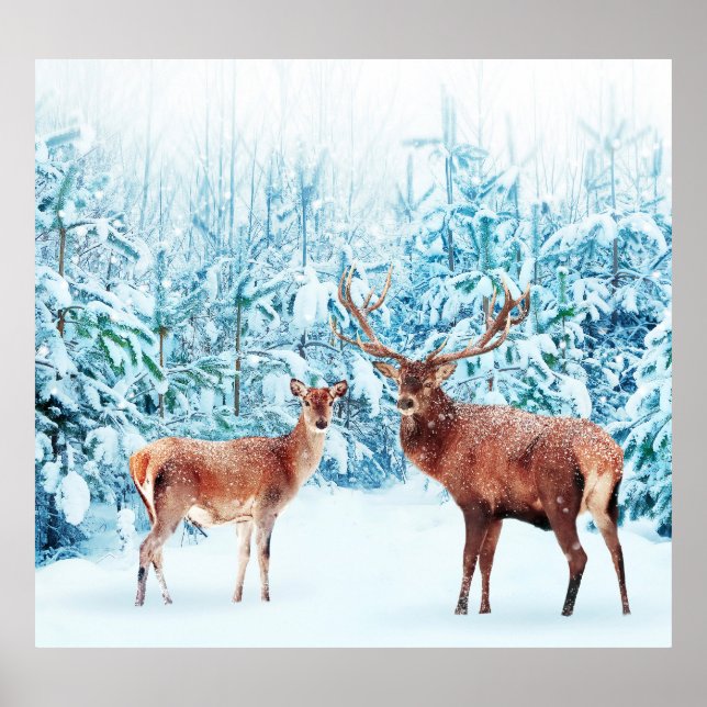 Poster Scène hivernale de la famille des cerfs de neige (Devant)