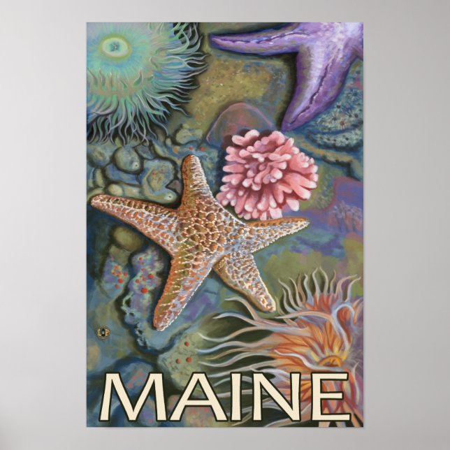 Poster Scène MaineTidepool (Devant)
