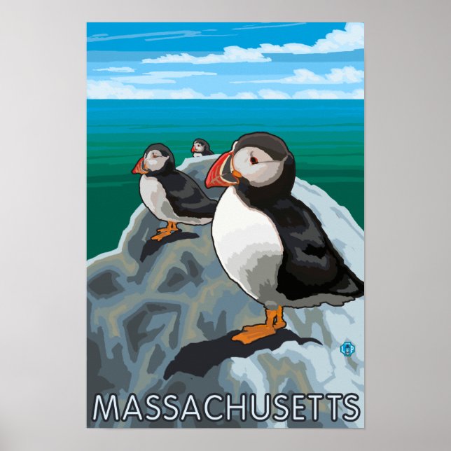 Poster Scène MassachusettsPuffins (Devant)