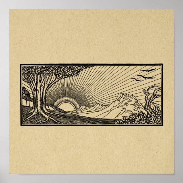Poster Scène naturelle avec oiseaux volants et coucher de (Devant)
