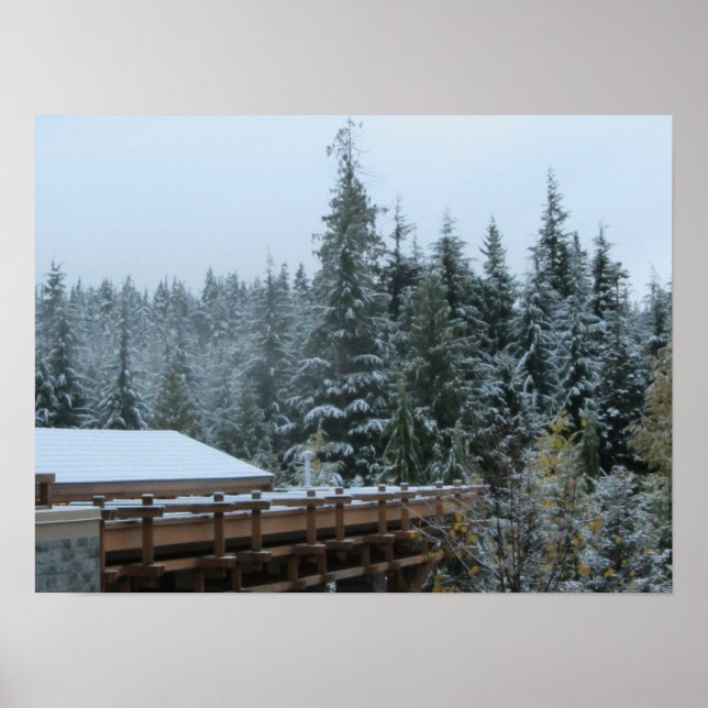 Poster Scene Snow à Whistler, B.C. (Devant)