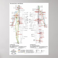 Poster Schéma chinois corps humain Méridiens