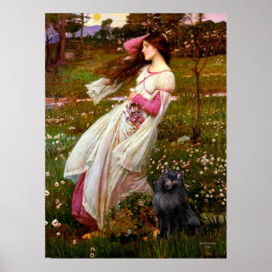 Poster Schipperke 2 - Fleurs à vent