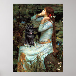 Poster Schipperke 4 - Ophelia Siège