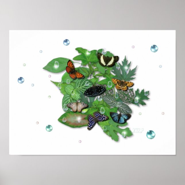 Poster Schmetterlinge mit Blätter, Regentropfen, Perlen (Devant)