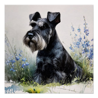 Poster Schnauzer aquarelle