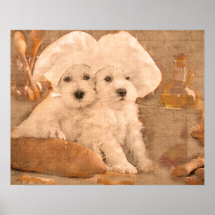 Poster Schnauzer Chefs Cuisine Imprimer
