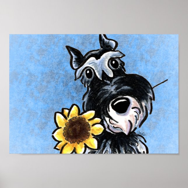 Poster Schnauzer de miniature Sunflower bleu Off-Leash Ar (Devant)
