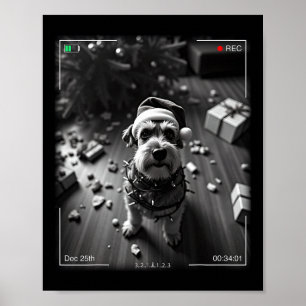 Poster Schnauzer de Noël pris en caméra 