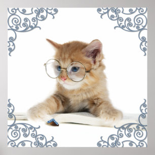 Poster Scholar Cat