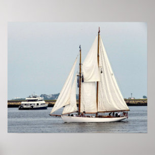 Poster Schooner Brilliant
