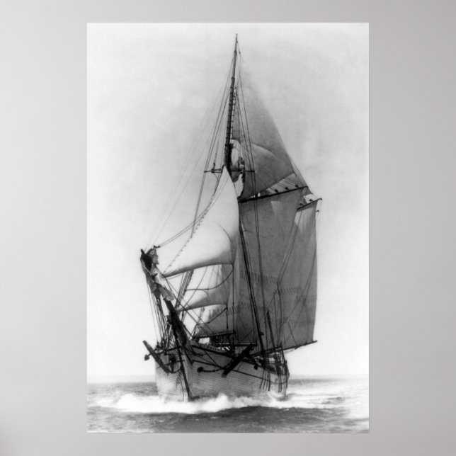 Poster Schooner EG White (Devant)