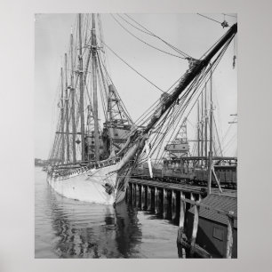 Poster Schooner Paul Palmer