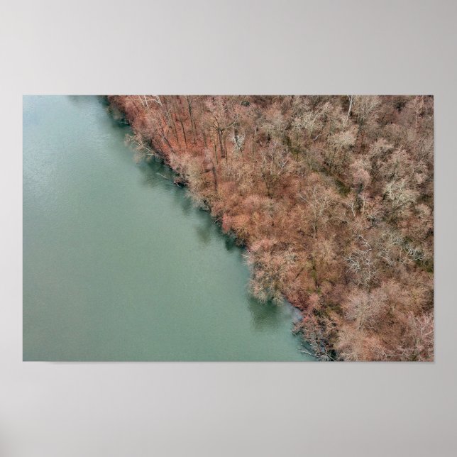 Poster Schuylkill Trees Sanatoga (Devant)