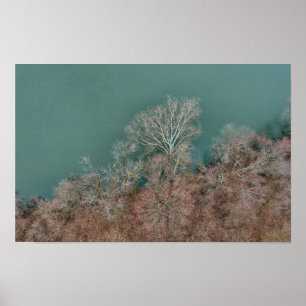 Poster Schuylkill Trees Sanatoga