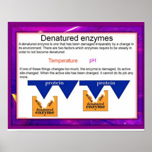Poster Science, Digestion,Denatured Enzymes