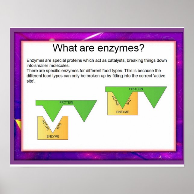 Poster Science, digestion, enzymes au travail (Devant)