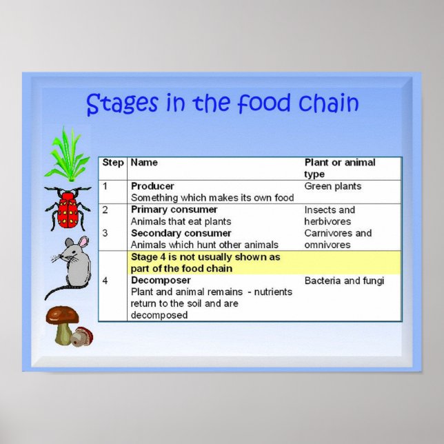 Poster Science, nutrition, Étapes de la chaîne alimentair (Devant)