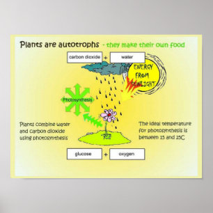 Poster Science, Plantes, autographes, alimentation