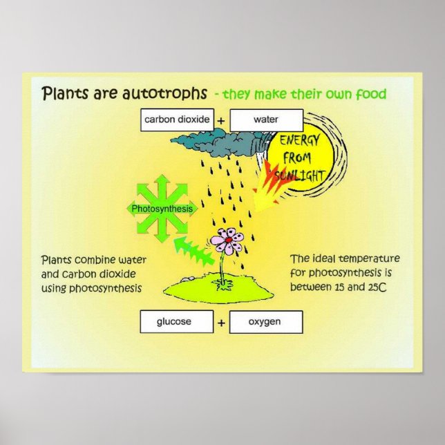 Poster Science, Plantes, autographes, alimentation (Devant)