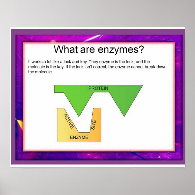 Poster Science, Qu'est-ce que les enzymes ? (Devant)
