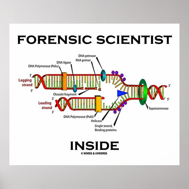 Poster Scientist Inside (Devant)