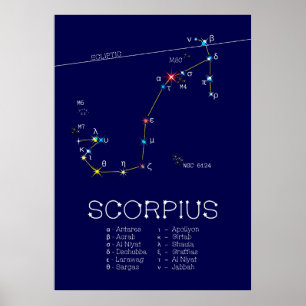 Poster Scorpie Constellation Zodiaque