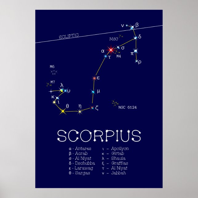 Poster Scorpie Constellation Zodiaque (Devant)