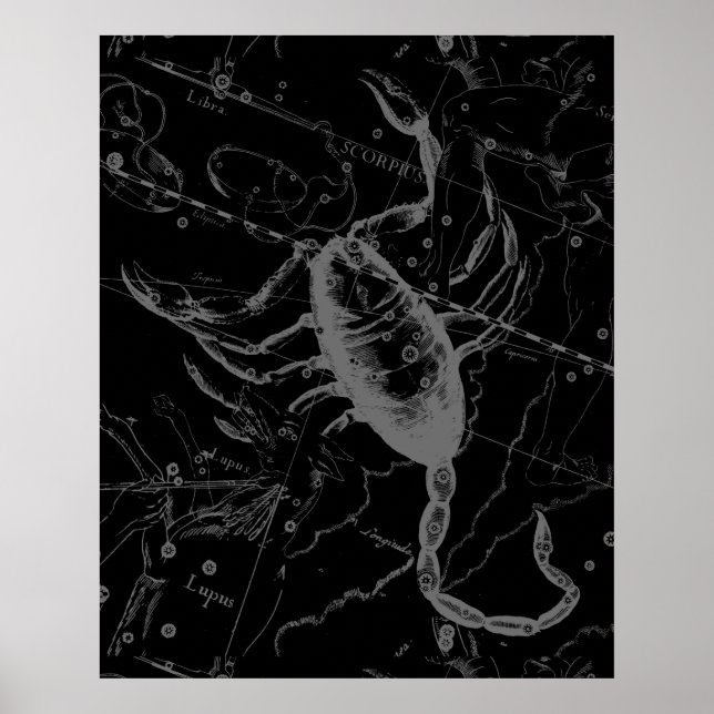Poster Scorpio Constellation Hevelius 1690 sur Black (Devant)