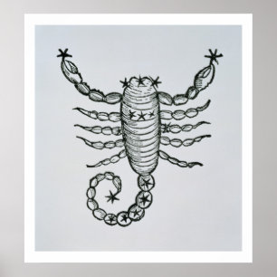 Poster Scorpion (le scorpion) une illustration du 'P