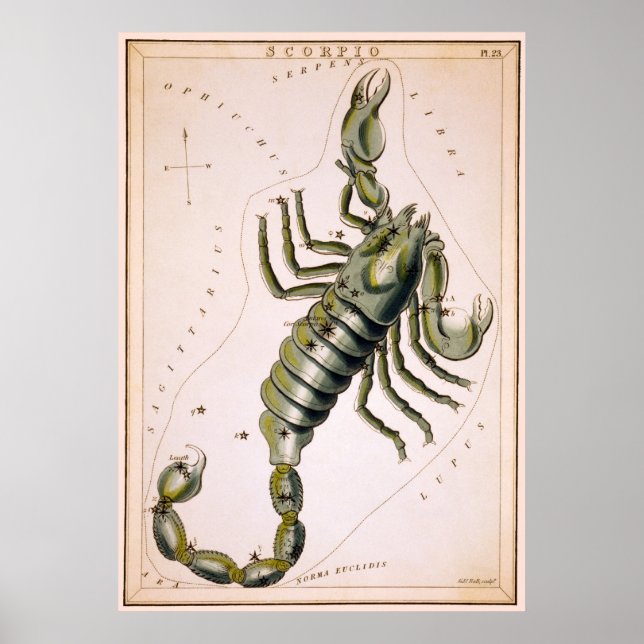 POSTER SCORPION SCORPIO CONSTELLATION 1825 (Devant)