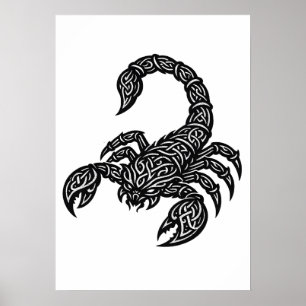 Poster Scorpion Sigil du Scorpion — Encre Mythique du Zod