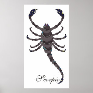 Poster Scorpion Starlight