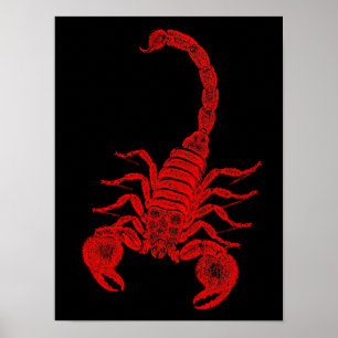 Poster Scorpions vintages de rouge d'illustration de