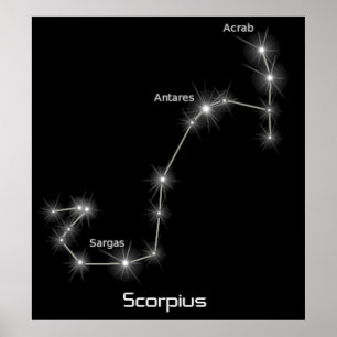 Poster Scorpius Constellation Scorpio Zodiac Business