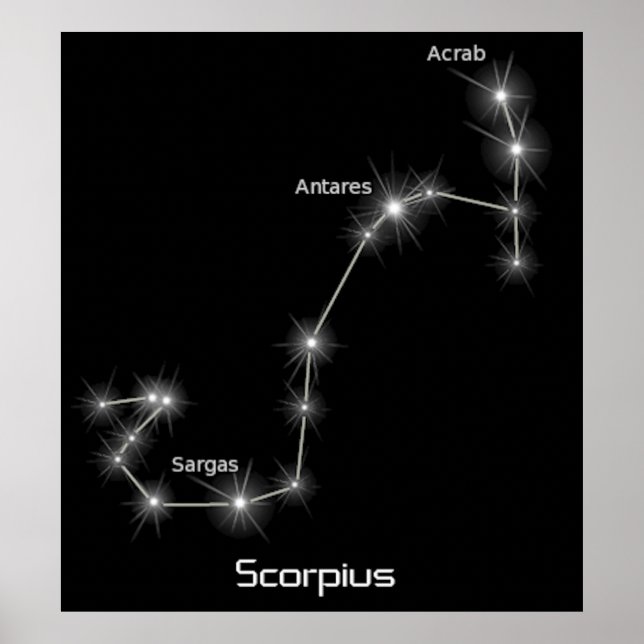 Poster Scorpius Constellation Scorpio Zodiac Business (Devant)