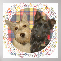 Scotties roux et noirs sur tartan