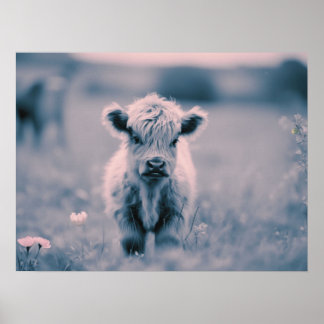 Poster Scottish Highland Calf Baby Cow Pink Tint Imprimer
