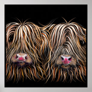 Poster SCoTTiSH HigHLaND CoW ' BiLL & TeD ' par SHiRLeY
