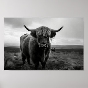 Poster Scottish Highland Cow photo noir et blanc