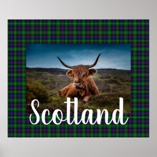 Poster Scottish Highland Steer