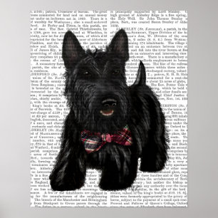 Poster Scottish Terrier and Bow