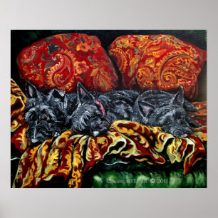 Poster Scottish Terrier Trio