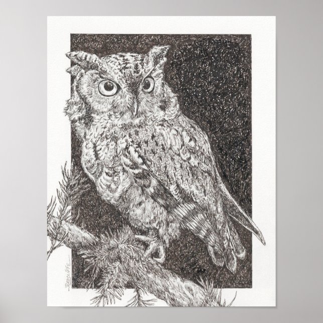 Poster Screech Owl (Devant)