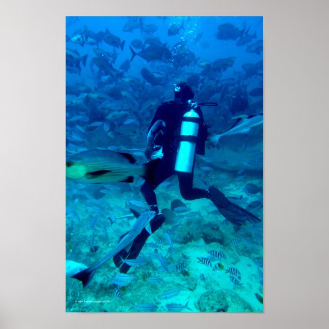 Poster Scuba Pro (Devant)
