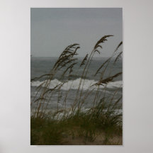 Sea Breeze