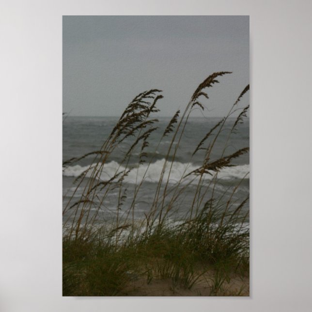 Poster Sea Breeze (Devant)