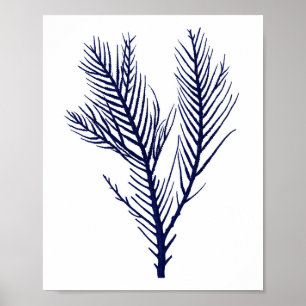 Poster Sea Coral Navy Blue Beach Décor de mur