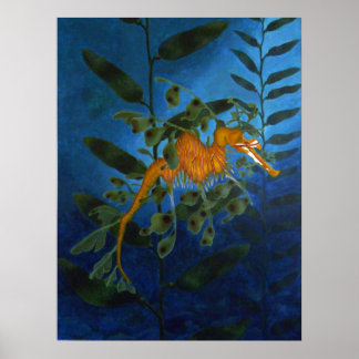 Poster Sea Dragon